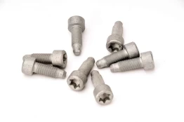 LUK 411 0147 10 Flywheel bolt set kaina