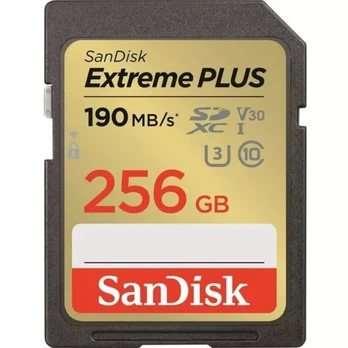 SANDISK MEMORY SDXC 256GB UHS-1 SDSDXWV-256G-GNCIN