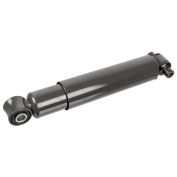 Amortizatorius FEBI BILSTEIN 20598