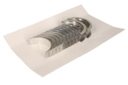 GLYCO H095/6 STD Main bearing set kaina