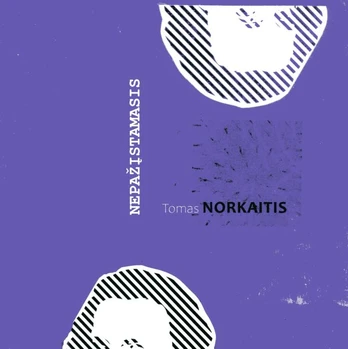 Nepažįstamasis (2021)