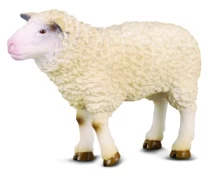 Žaislinė figūrėlė Collecta Sheep COLL0167 kaina