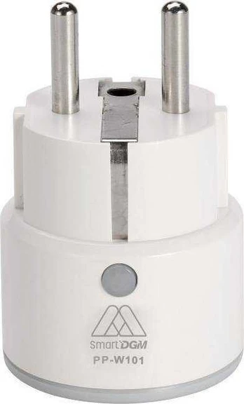 DGM PP-W101