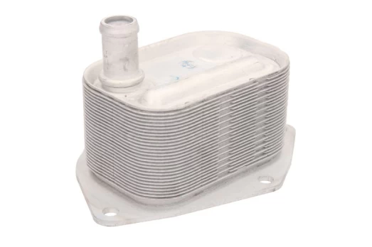 Alyvos radiatorius THERMOTEC D405004TT
