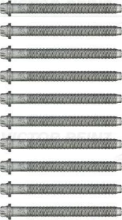REINZ 14-32146-01 Cylinder head bolt set kaina