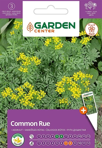Sėklos Garden Center rūta, 0.5 g