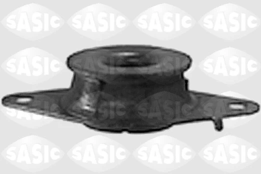 Variklio montavimas SASIC 4001749