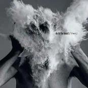 CD The Afghan Whigs - Do To The Beast