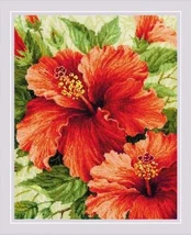 Uab Riolis Hibiscus SR1967