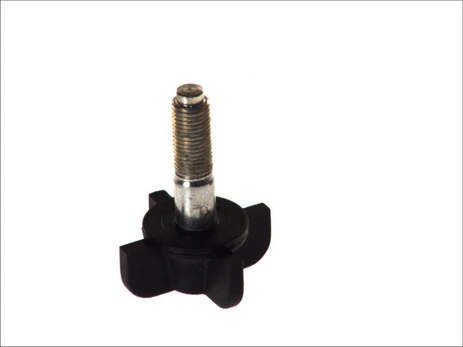 Išleidimo vožtuvas