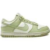 Laisvalaikio batai Nike Dunk Low Next Nature HF5384 300 Žalia