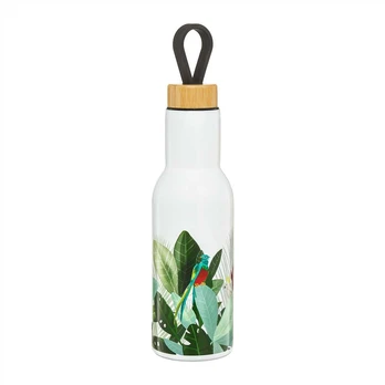 Buteliukas termiczna Paradise Papuga 400 ml AMBITION