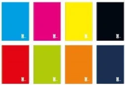 Interdruk A5 / 96K UV tinklelis vienos spalvos (10vnt) kaina