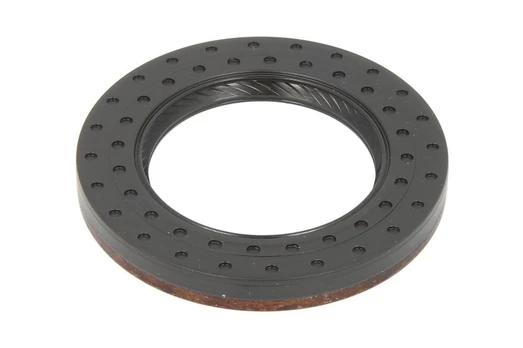 REINZ 81-10407-00 Crankshaft seal