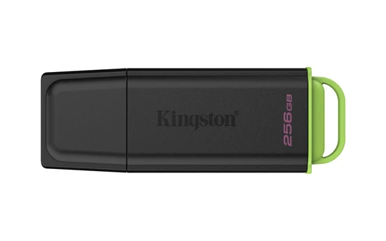 USB raktas KINGSTON DTXG2/256GB