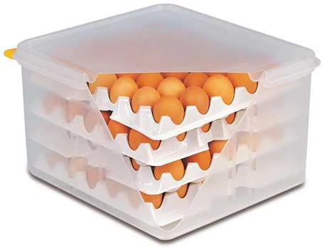 Container for 120 eggs, 35.4x32.5x20 cm, 8 trays
