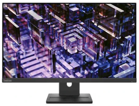 Monitorius Lenovo ThinkVision E24q-30