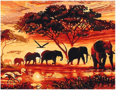 Omaart Safari