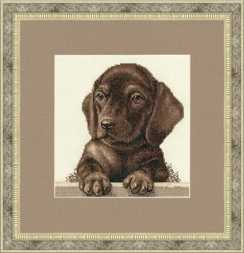 Zolotoe Runo Dachshund S/NL041