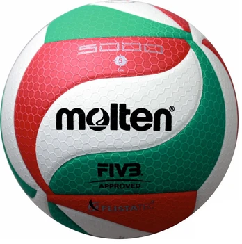 Tinklinio kamuolys MOLTEN V5M5000-X