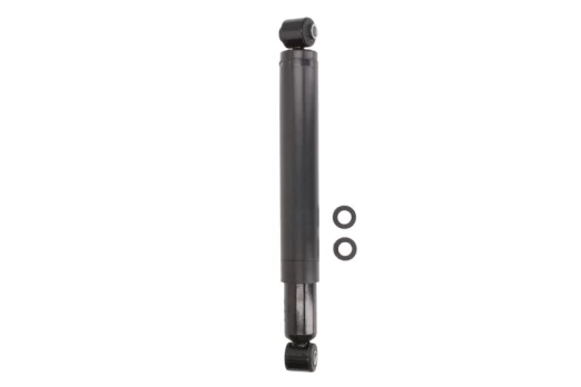 Amortizatorius FEBI BILSTEIN 20300