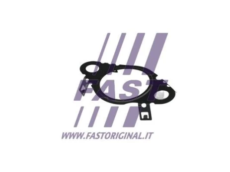 Tarpiklis, EGR vožtuvas FAST FT50604