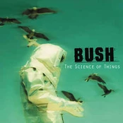 CD Bush - The Science Of Things