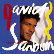 CD David Sanborn - A Change Of Heart