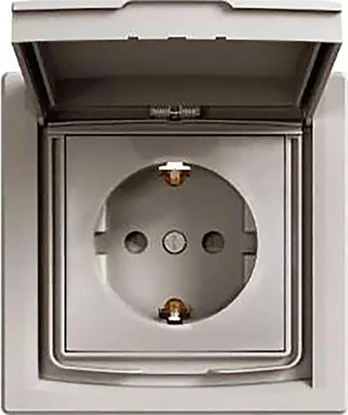 Schneider Electric ASFORA SCHUKO IP44 lizdas (EPH3100369)