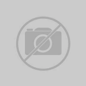 Gulčiukas BMI Alustar 50 cm