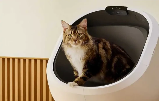Petlibro Luma Automatic Self-Cleaning Litter Box