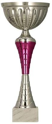 Detal Puchar metalowy sidabrinė ir - violetinė