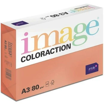 Popierius Image Coloraction 500 Paklodės A3 Sodrus rusvas
