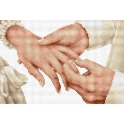 Forever SB2276