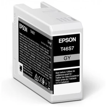 EPSON Singlepack Gray T46S7 UltraChrome | C13T46S700
