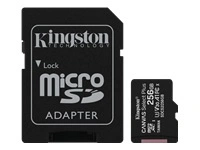 KINGSTON 256GB micSDXC Canvas Select