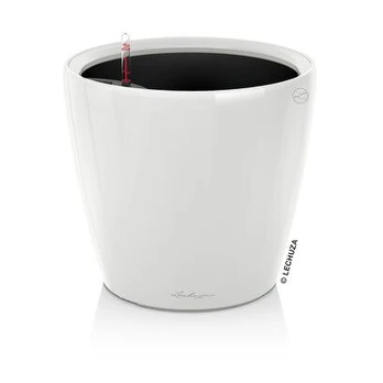 Lechuza vazonas Classico Premium LS 35, 32,5 cm