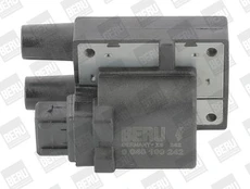 Ritė, uždegimas BorgWarner (BERU) ZS242