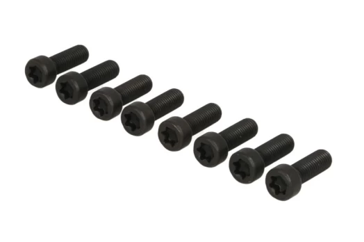 LUK 411 0231 10 Flywheel bolt set