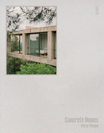 Brutalist Homes