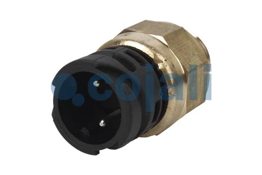 kontrolinis jungiklis 2260342COJ