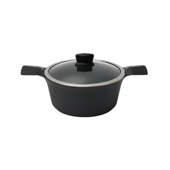 Indukcinis puodas su dangčiu Zyle ZY3020PT, 20 cm