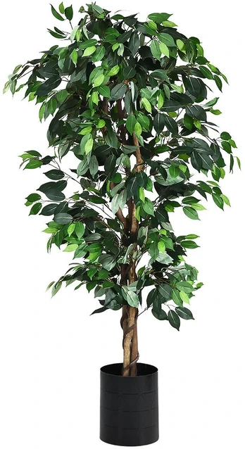 Dirbtinis fikusas 180.3 cm