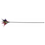 Žaislas katėms Plunksnos ant pagalio 50 cm kaina