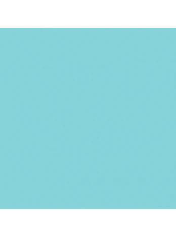 Servetėlės mint blue (2 sl., 33 cm., 125 vnt.)