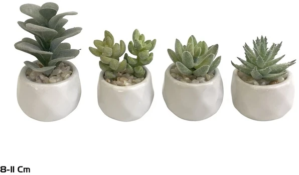 Dirbtiniai sukulentai 8–11 cm, 7x7x11 cm, LITO