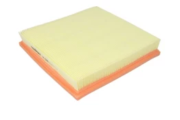 Oro filtras FILTRON AP088 kaina