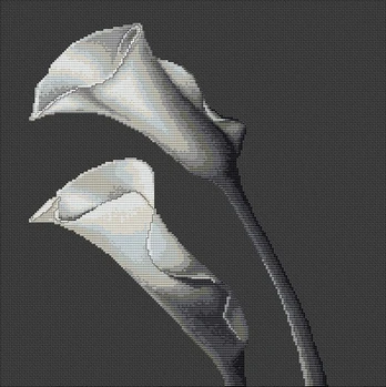 Cala Lilies SB237