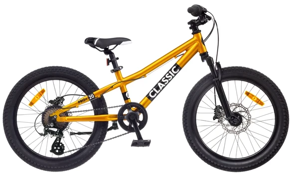 Dviratis 20 CLASSIC PRO 20+ golden classic