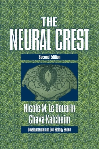 Neural Crest